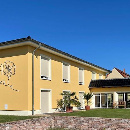 Die 1A Pension Welsau Extérieur photo